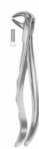  Fig. 75 lower premolars 
